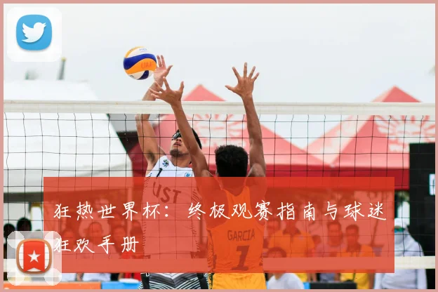 狂热世界杯：终极观赛指南与球迷狂欢手册